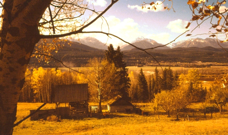 A view of the Bugaboo Mountains (Purcell mountain range) along the Columbia River valley at Brisco, BC
