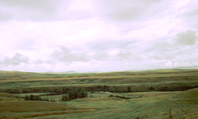 The foothills of the Rocky Mountains, near Morley, Alberta