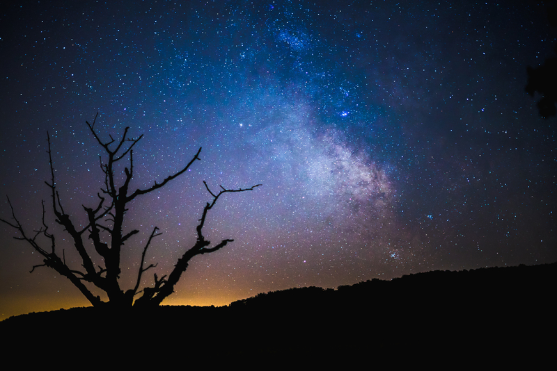 Stars, night, and galaxy over an old tree in Frenkendorf, Switzerland ~ Photo by Felixplakolb