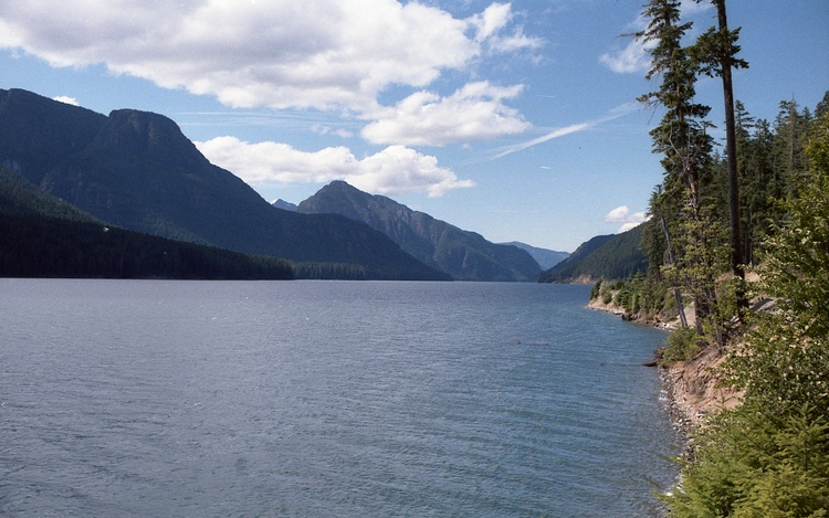 Looking north on Buttle Lake, Vancouver Island, BC